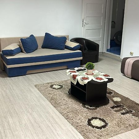 דירות The Historical Family House-Cluj Napoca Center מראה חיצוני תמונה